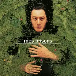 Mes prisons (Pré-production Les Valentins) - Single - Alain Bashung