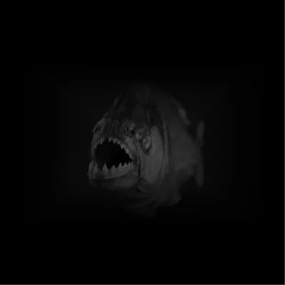 Piranhas - Rhubarb