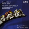 Cappella Murensis, Les Cornets Noirs & Johannes Strobl - Symphoniarum sacrarum tertia pars: Vater unser, der du bist im Himmel, SWV 411