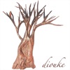 Diouke