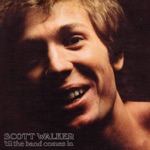 Scott Walker - Little Things