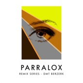 Remix Series - Dmt Berzerk artwork