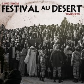 Festival au desert  2012 (Live) artwork