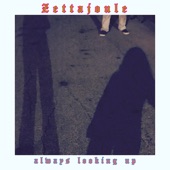 Zettajoule - No Thank You