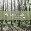 Ambient Life album lyrics, reviews, download