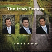 The Irish Tenors - The Irish Rover