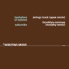 Strings Track / Brooklyn Summer - Single