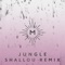 Jungle - Saint Mesa lyrics
