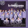 Íconos 25 Éxitos: La Arrolladora Banda el Limón de Rene Camacho album lyrics, reviews, download