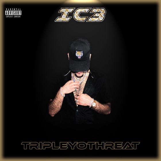 Cover artwork for Midas Touch