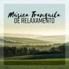 massagem musica - Flauta Asiática Suave