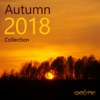 Autumn 2018 Collection, 2018
