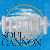 Soul Cannon