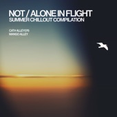 Not / Alone in Flight artwork