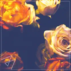 Closer - Single - Madilyn Bailey Closer - Single - Madilyn Bailey