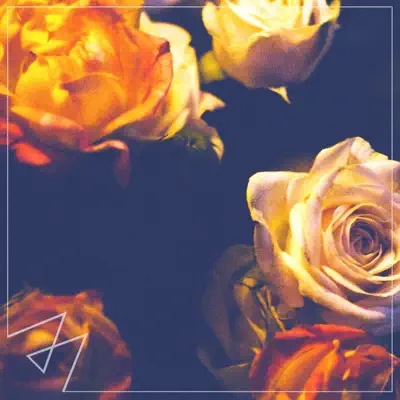 Closer - Single - Madilyn Bailey
