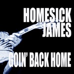 Homesick James - Isolation Blues