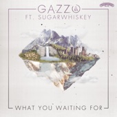 What You Waiting For (feat. SUGARWHISKEY) artwork