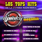 Megamix los Charros de Luchito y Rafael - DJ Pinky
