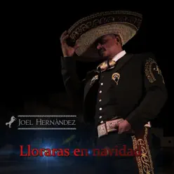 Llorarás en Navidad - Single - Joel Hernández