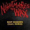 Deep Shadows (feat. Sadie Walker) [Illa J Remix] - Single