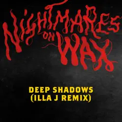 Deep Shadows (feat. Sadie Walker) [Illa J Remix] - Single - Nightmares on Wax