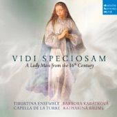 Vidi Speciosam - A Lady Mass from the 16th Century artwork