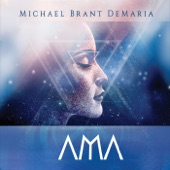 Michael Brant DeMaria - Night Voyage