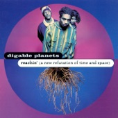 Digable Planets - Time & Space (A New Refutation Of)
