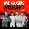 Me Gustas Mucho (feat. Alkilados) - Single