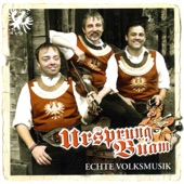 Echte Volksmusik artwork