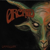 Orchid - Capricorn