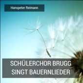 Schülerchor Brugg Singt Bauernlieder artwork