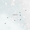Winter (feat. Still Haze) - Single