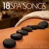 Spa Music artwork