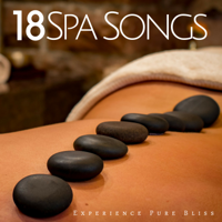 Sauna & Relax & Spa Music Relaxation Meditation - 18 Spa Songs - Experience Pure Bliss with the Best Collection of Wellness Center Music with Nature Sounds with Rain, Wind, Ocean Waves and Piano Music artwork