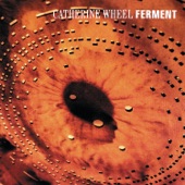 Catherine Wheel - I Want To Touch You