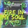 Fire in My Soul (feat. Shungudzo) [Justin Caruso Remix] - Single album lyrics, reviews, download