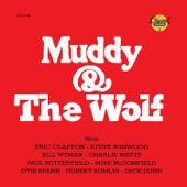 Muddy & the Wolf (feat. Eric Clapton, Steve Winwood, Bill Wyman, Charlie Watts, Paul Butterfield, Mike Bloomfield, Otis Spann, Hubert Sumlin & Dick & Dünn) artwork