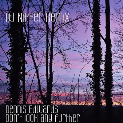 Don't Look Any Further (feat. Siedah Garrett) - Single - Dennis Edwards