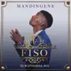 Mandingene (DJ Maphorisa Remix) [feat. DJ Maphorisa] - Single album lyrics, reviews, download