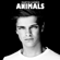 Animals (Radio Edit) - Martin Garrix