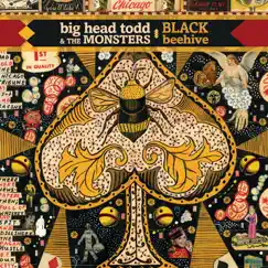 Black Beehive by Big Head Todd & The Monsters album reviews, ratings, credits