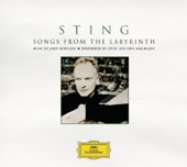 Cheb Mami & Sting - Fields of Gold