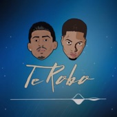 Te Robo artwork