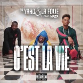 C'est la vie (feat. Naza) artwork