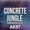 Concrete Jungle - Stabekkrussen 2018 - Ak97 lyrics