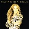 You Light Up My Life - Samantha Cole lyrics