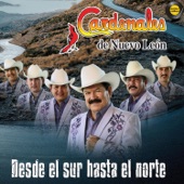 Mia - Cardenales de Nuevo León