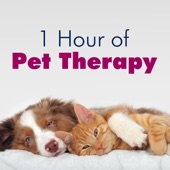 1 Hour of Pet Therapy: Sleep Music for Cats & Dogs artwork